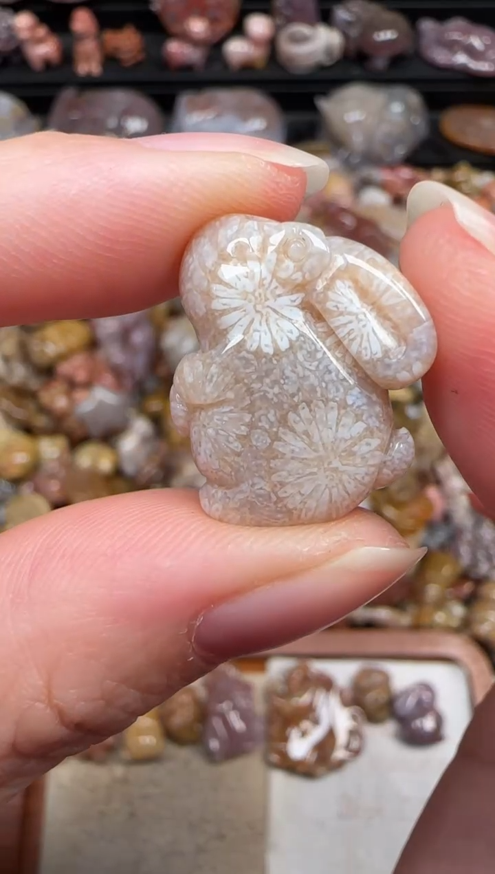 颈饰未镶嵌硅化珊瑚（珊瑚玉）356