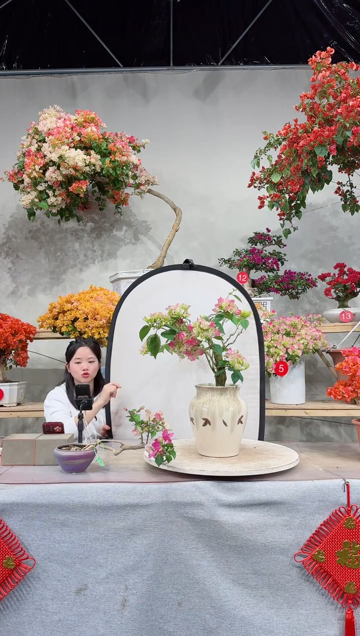 【闪购商品】盆景绿叶樱花