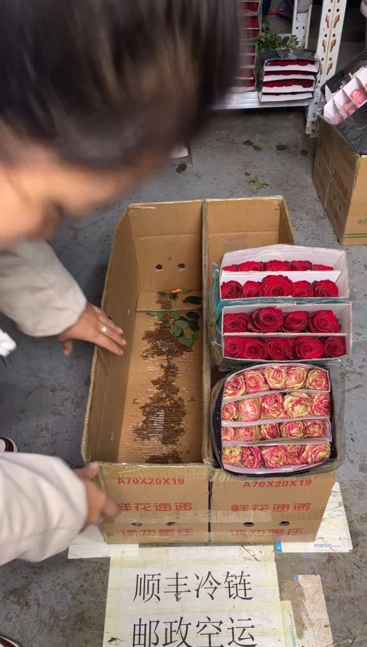 苹果杰克20枝+高原红20枝