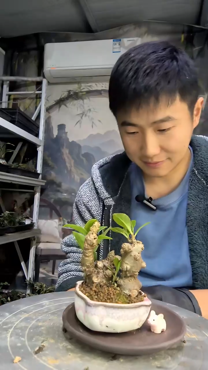 单***蟀中青园艺一物一拍花275