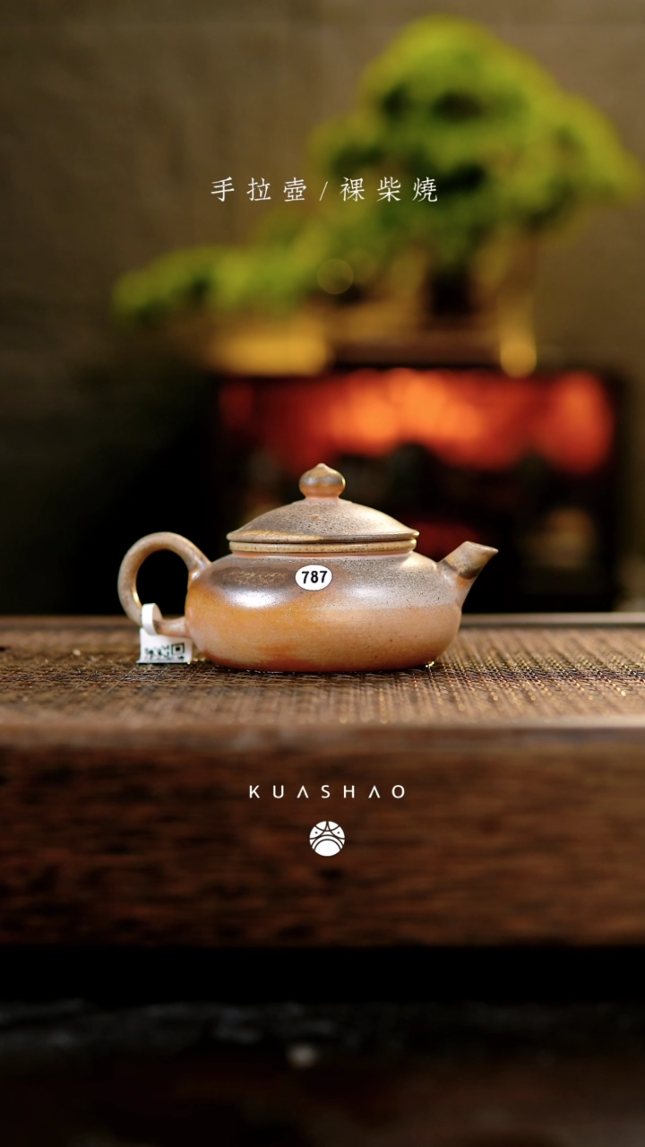 【闪购商品】寒江壶787............