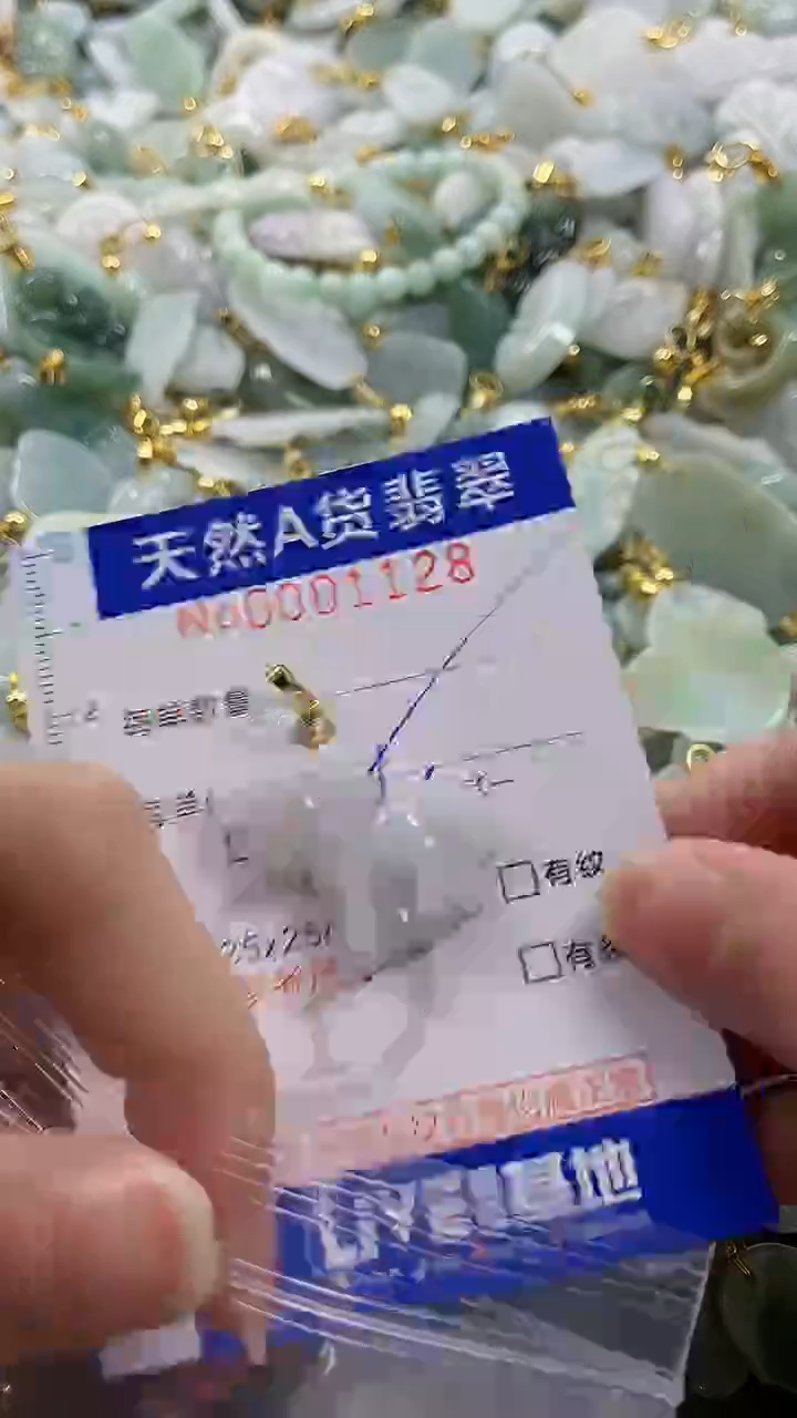 颈饰未镶嵌翡翠纯天然a货翡翠
