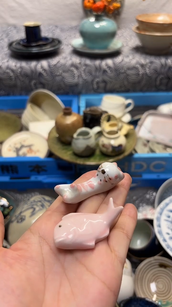 瓷片喵喵家都是大漂亮