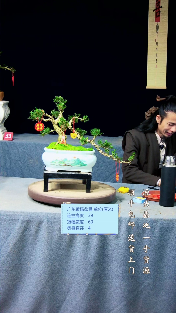 【闪购商品】黄杨盆景黄杨盆景