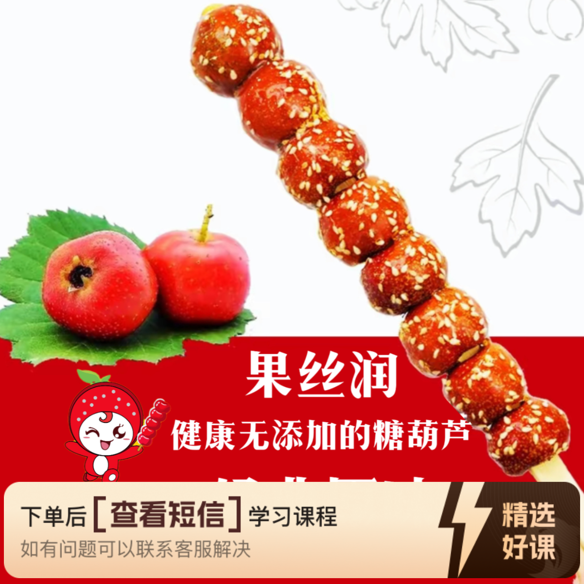 冰糖百味冰糖葫芦升级版全部课程（留意短信解锁课程）