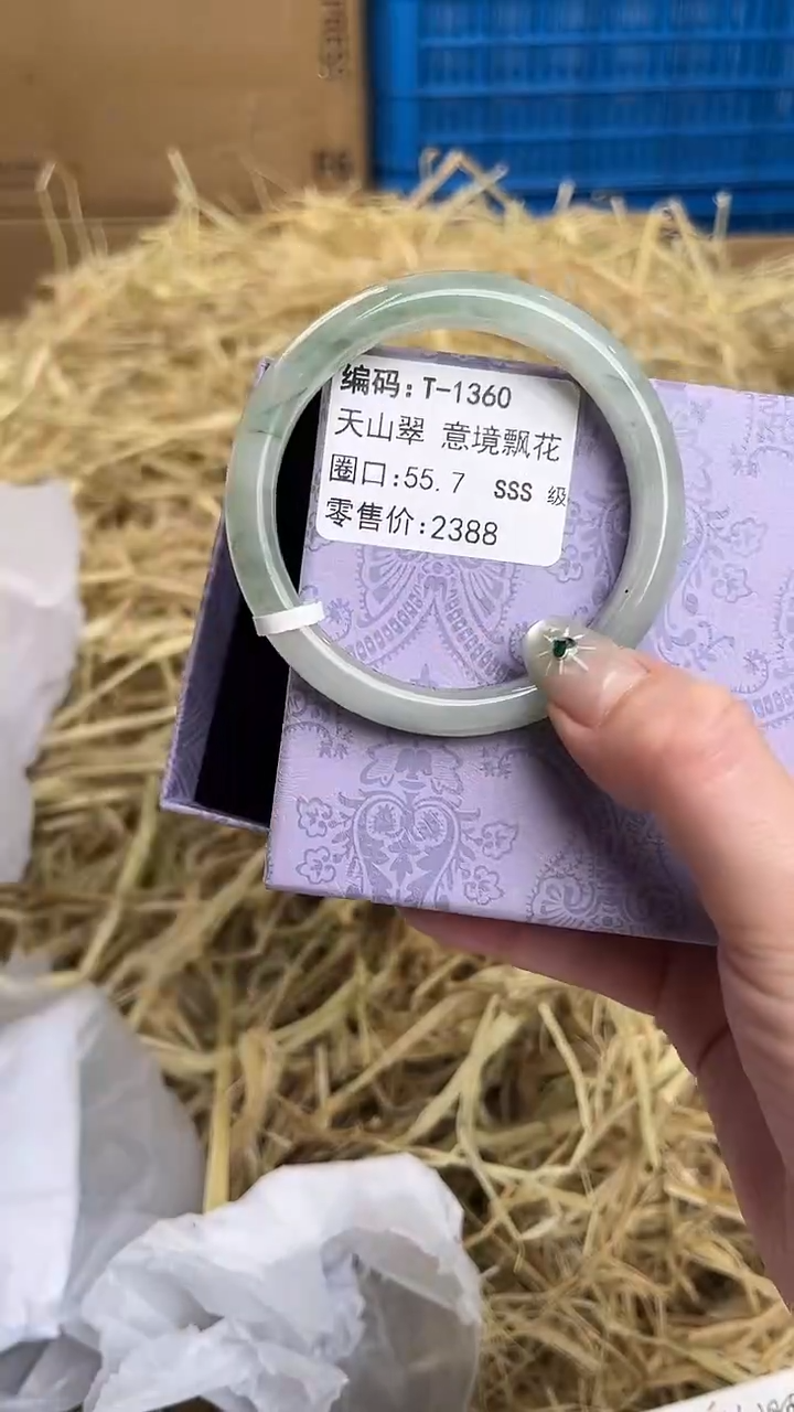 未镶嵌手镯石英质玉T-1360
