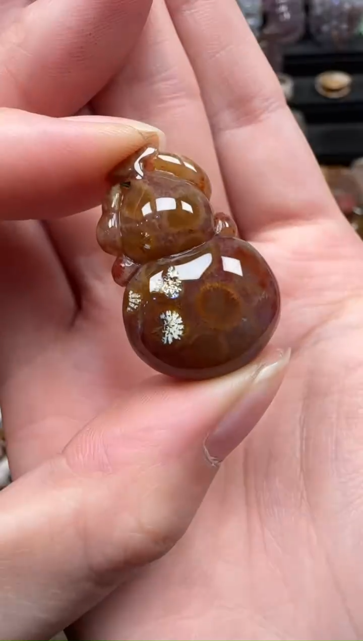 颈饰未镶嵌硅化珊瑚（珊瑚玉）593