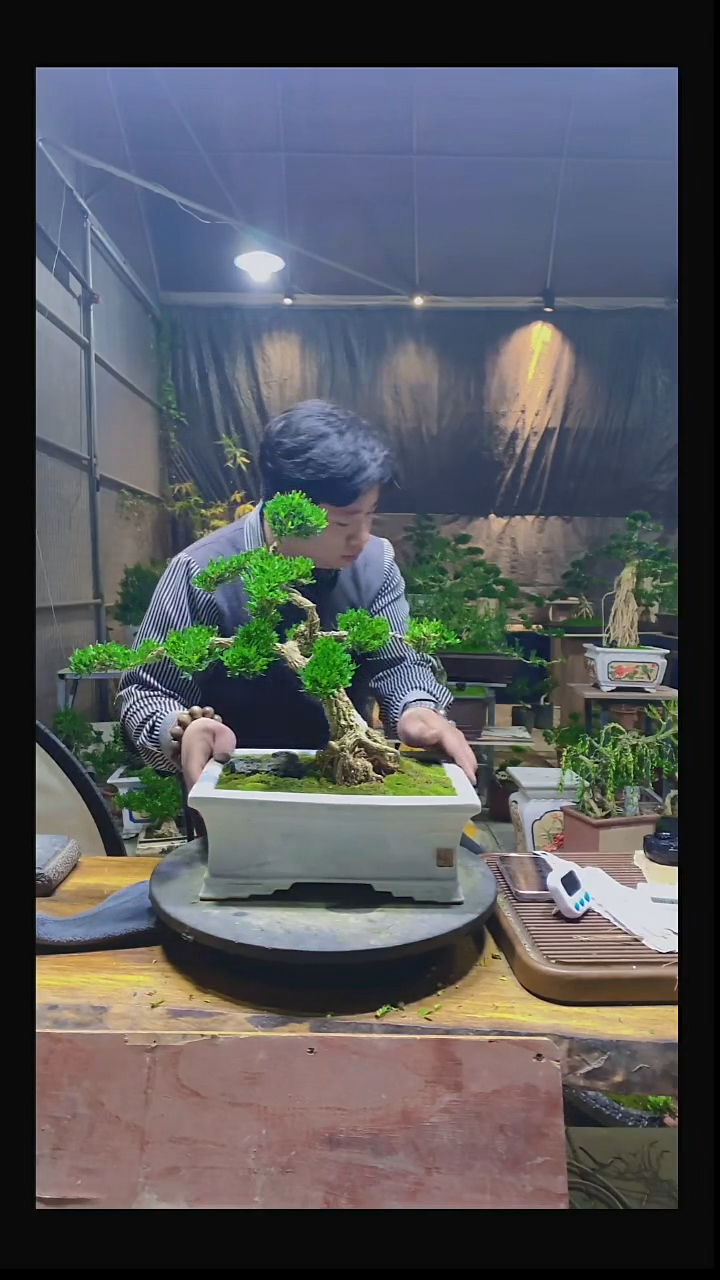 完全开放-****e000000000000000