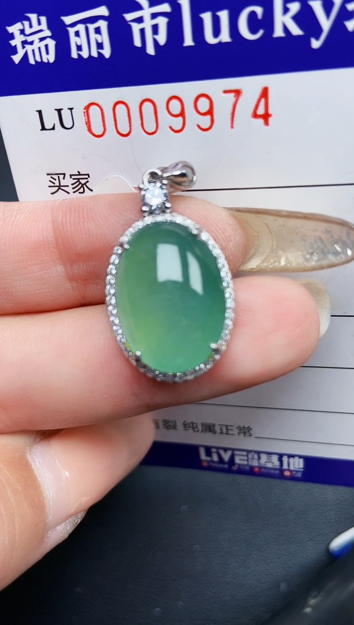 【闪购商品】翡翠颈饰银S925镶嵌9974