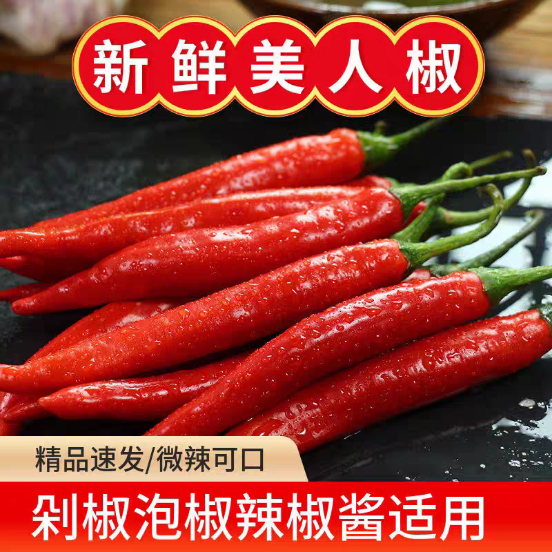 【新鲜美人椒】红辣椒微辣红辣椒小辣椒做剁椒红辣椒非小米椒朝天椒