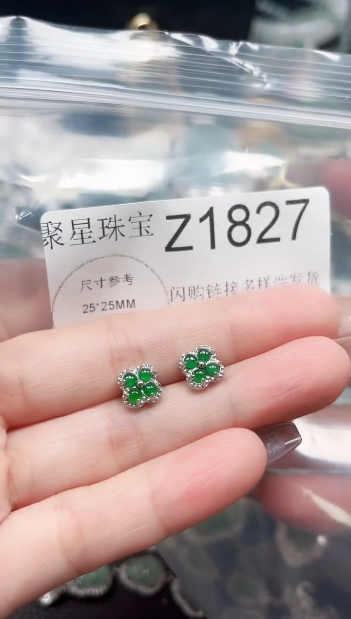 【闪购商品】翡翠颈饰未镶嵌赠皮绳1827