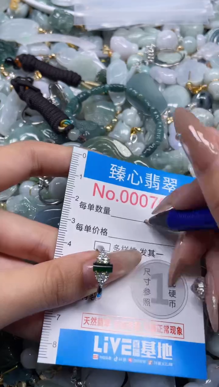 颈饰未镶嵌翡翠7069