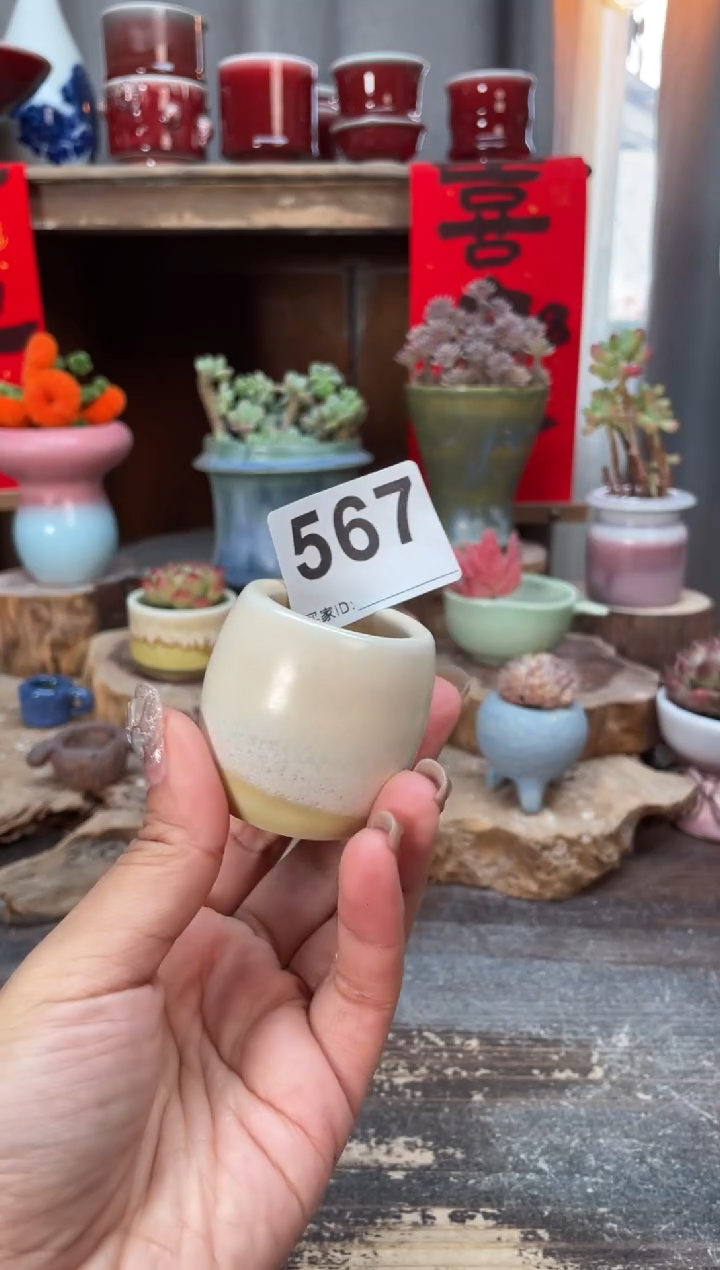 【闪购商品】摆件567知木小芳花盆