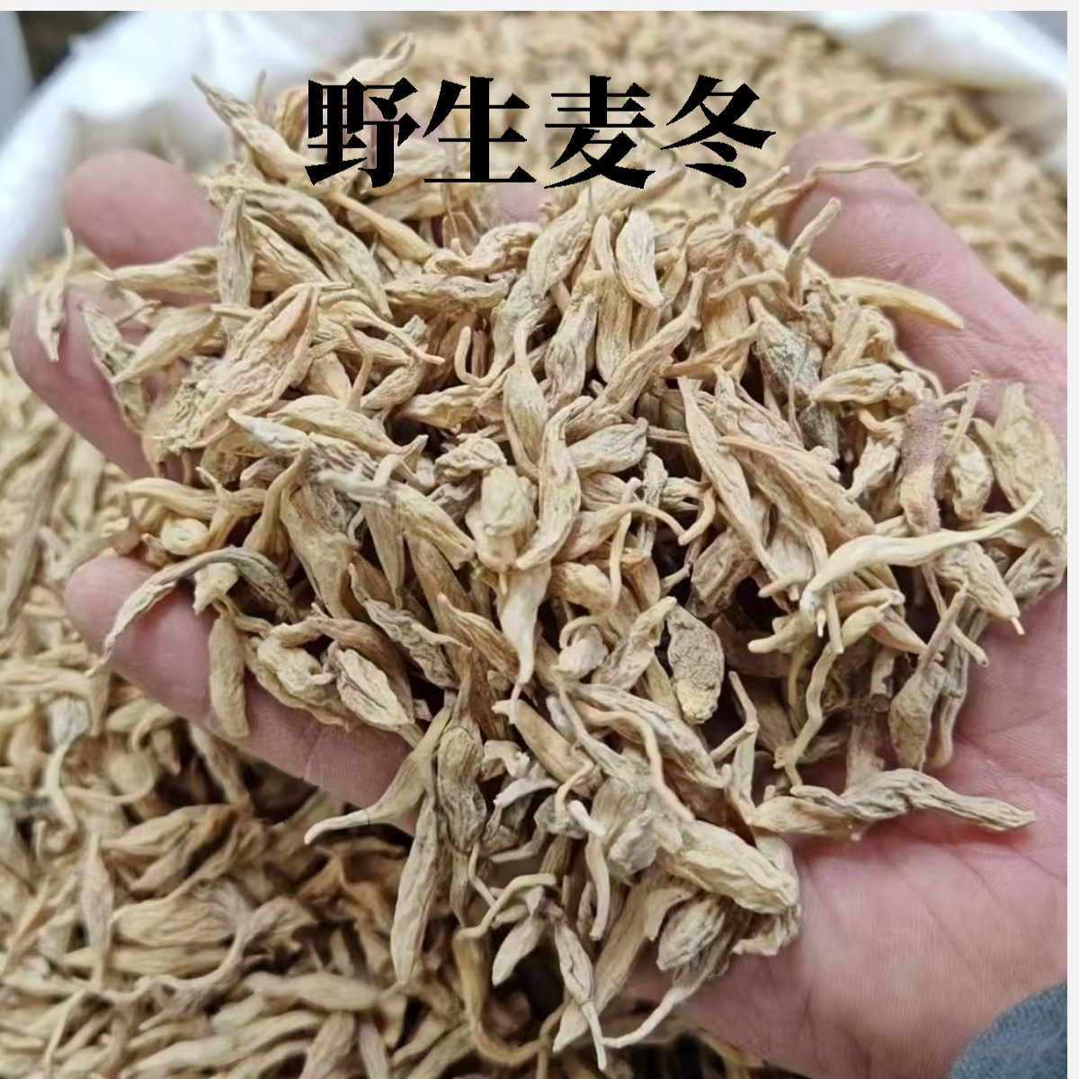 【川北麦冬】四川广元高山野生麦冬