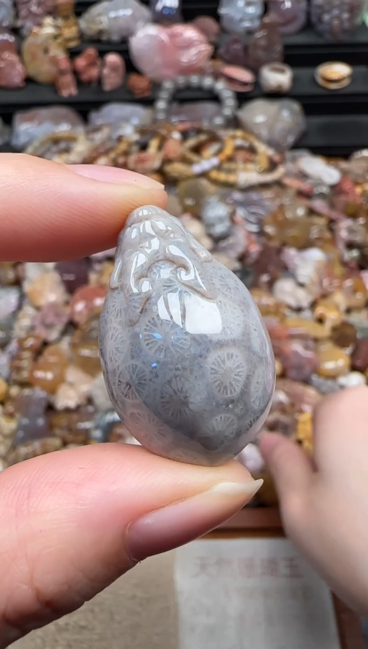 颈饰未镶嵌硅化珊瑚（珊瑚玉）472