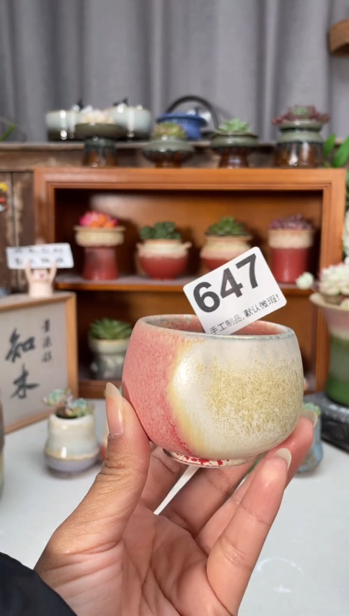 瓷片647小芳直播编号