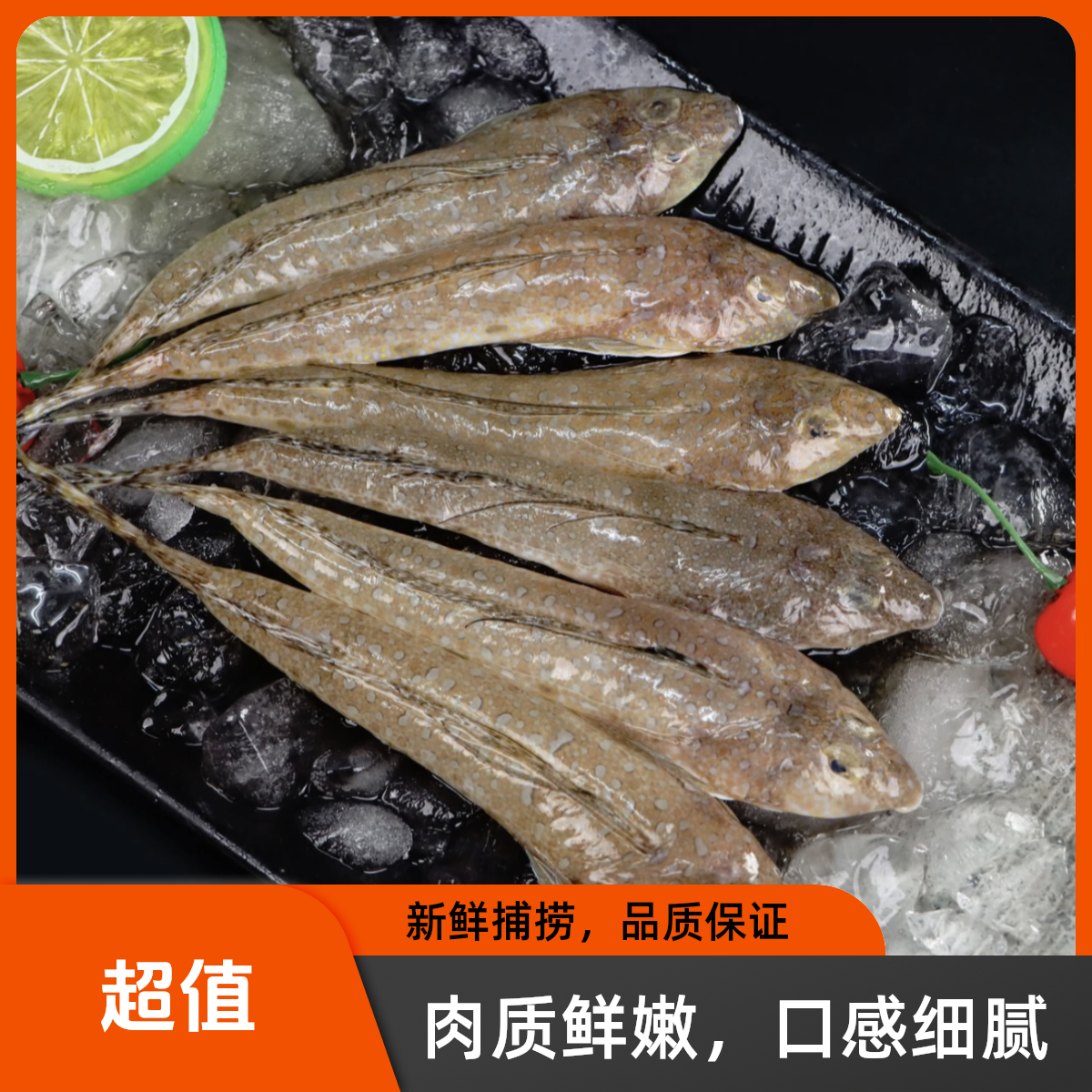 【鸡腿鱼】惠来神泉港鸡腿鱼/箭头鱼【5盒】速冻锁鲜通身蜡黄肉质紧实