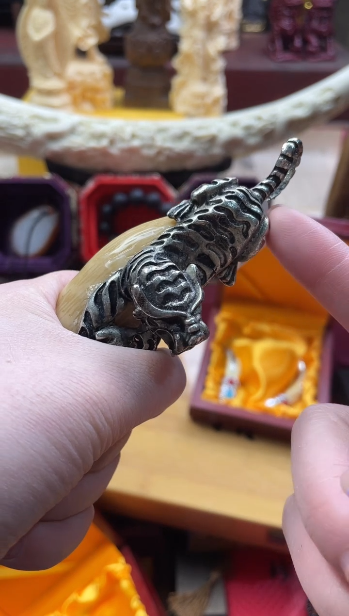 【闪购商品】一一一一一一大脑