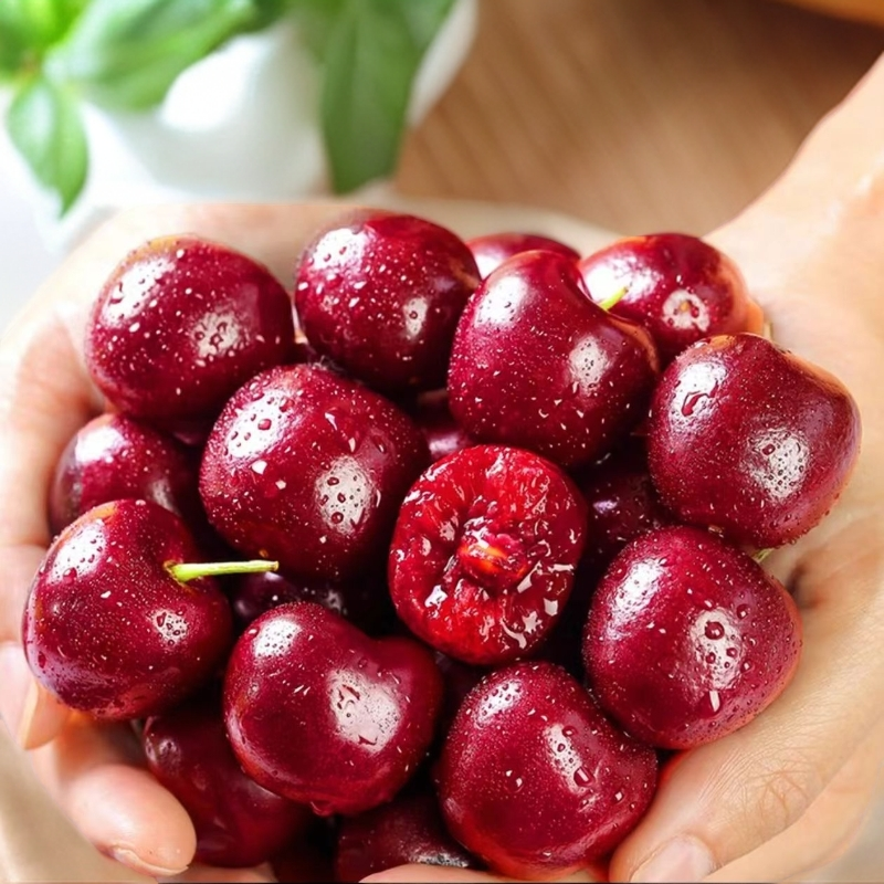 净重5斤2.8斤内附果径卡空运智利进口车厘子新鲜水果规格J桑提娜 桑提娜樱桃智利共和国