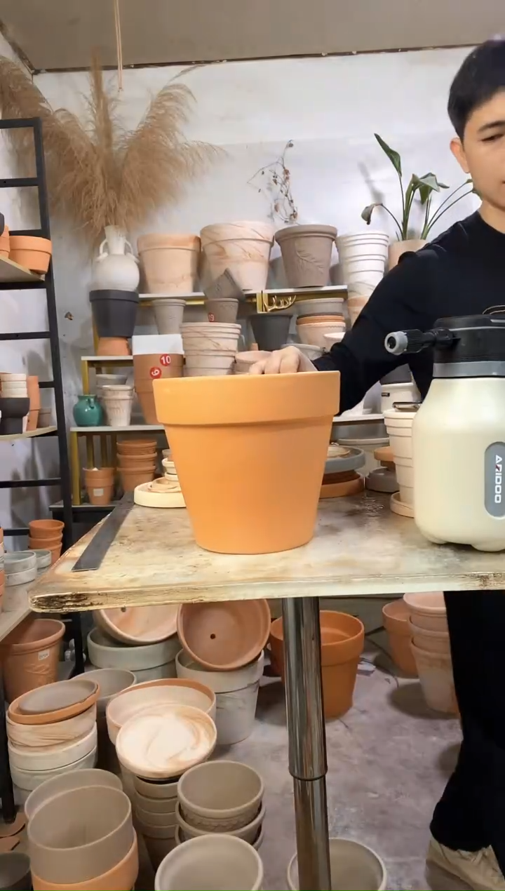 23*21红陶国际 1盆无托