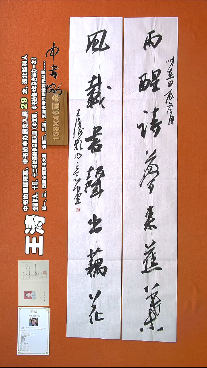 【闪购商品】书法332王涛书法作品