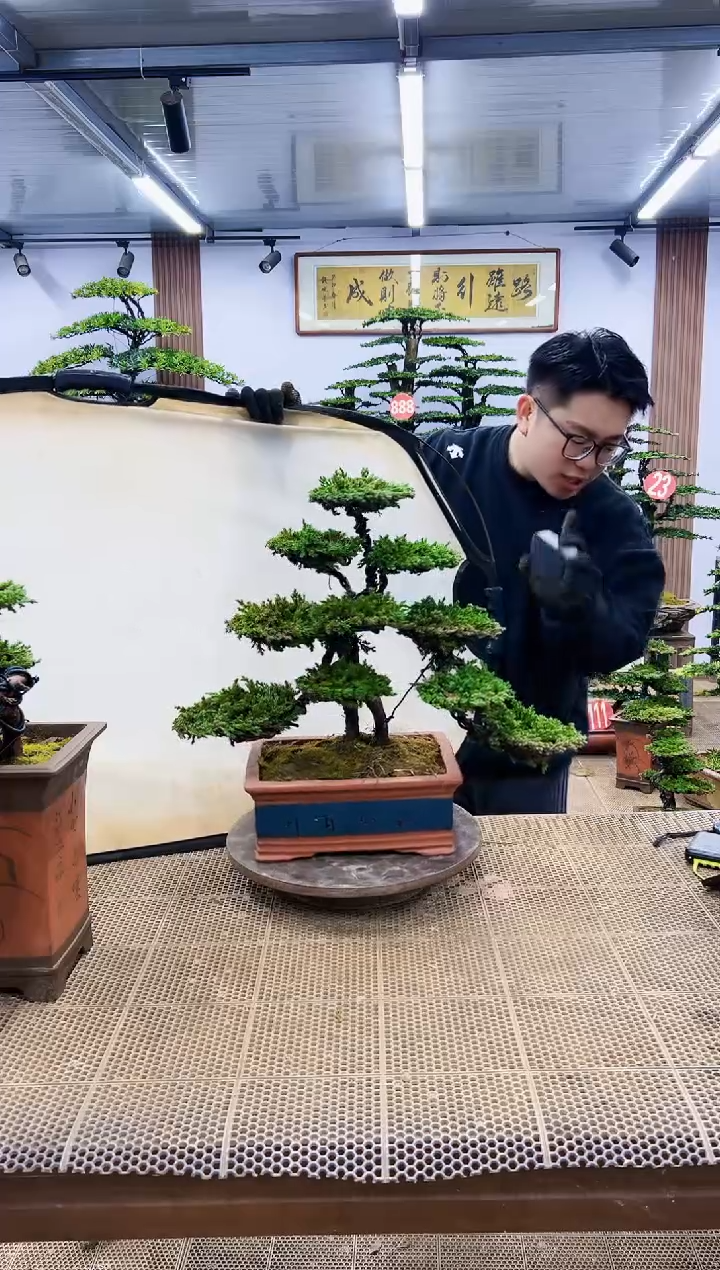 【闪购商品】一物一拍，所见即所得