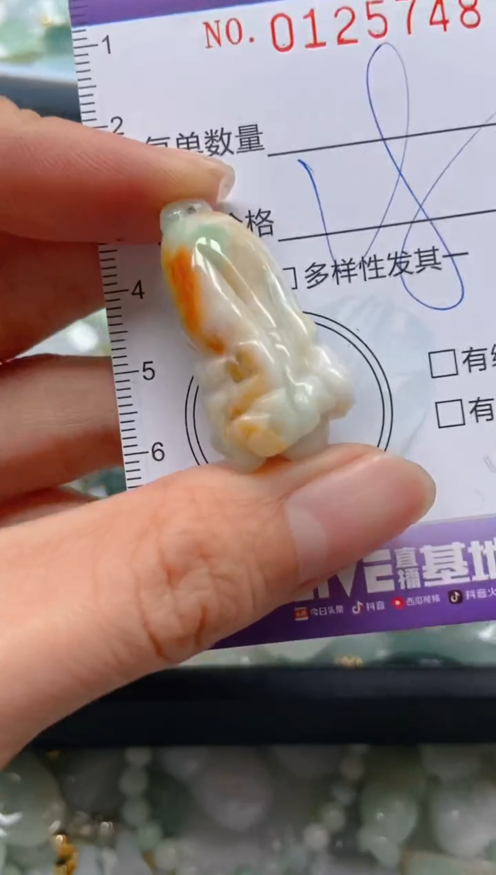 【闪购商品】翡翠颈饰未镶嵌闪购0125748