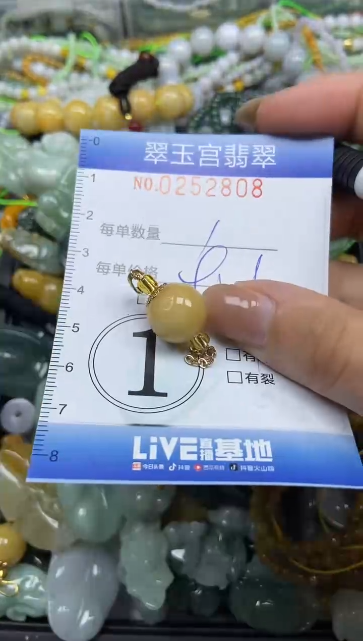 颈饰未镶嵌翡翠闪购C0252808