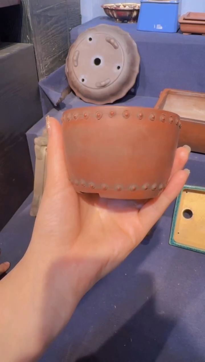 【闪购商品】-美芸-X51