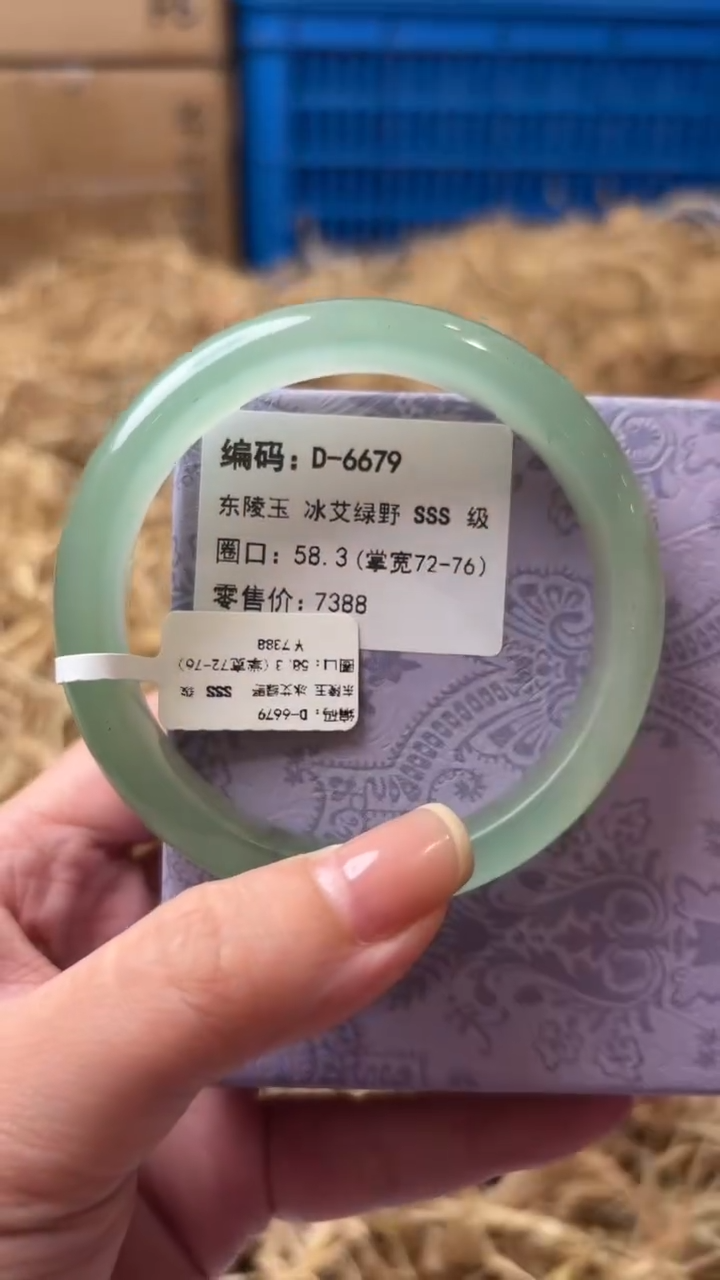 未镶嵌手镯石英质玉D-6679