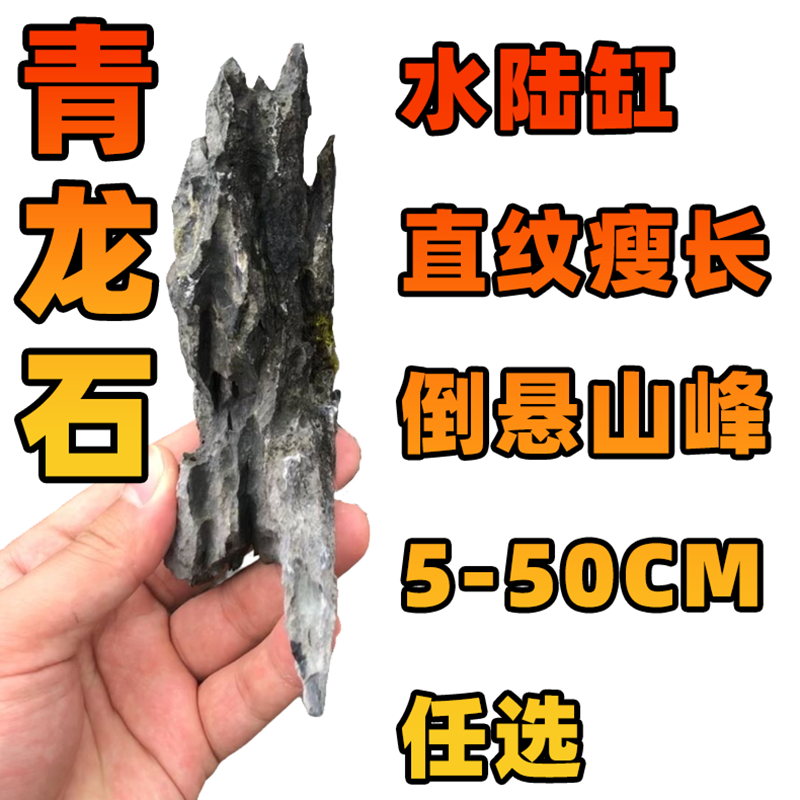 【青龙石】天然精品水陆缸英德石微景观鱼缸造景古法缸假山摆件水族