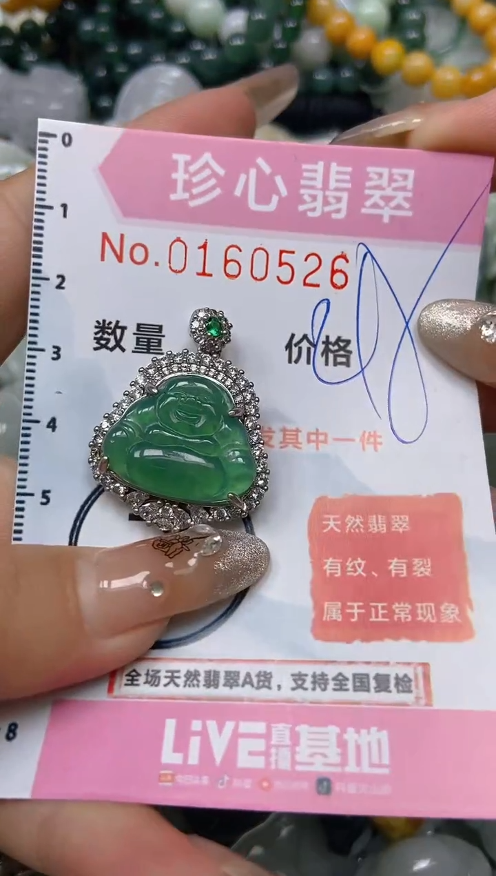 【闪购商品】翡翠颈饰未镶嵌闪购0160526