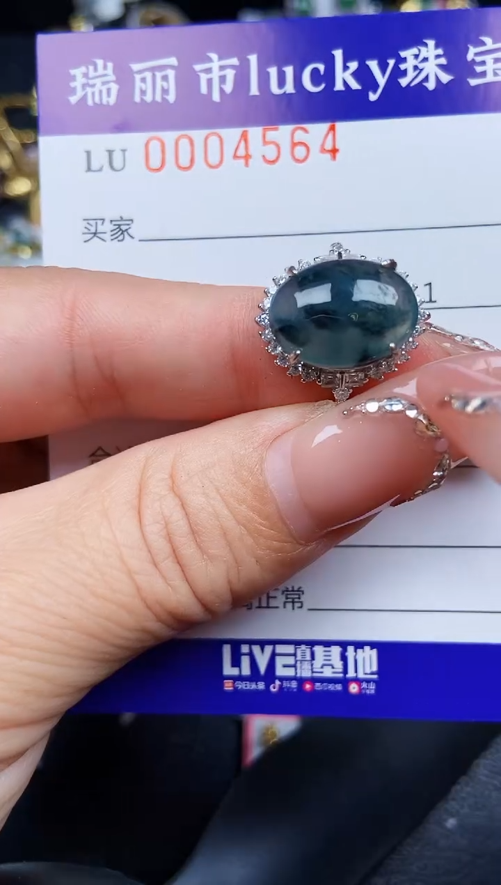 翡翠银S925镶嵌颈饰4564