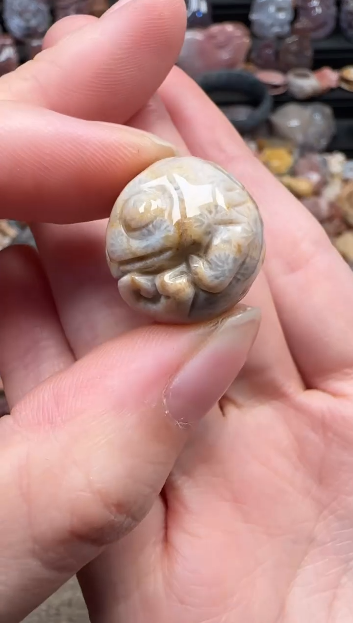 颈饰未镶嵌硅化珊瑚（珊瑚玉）822