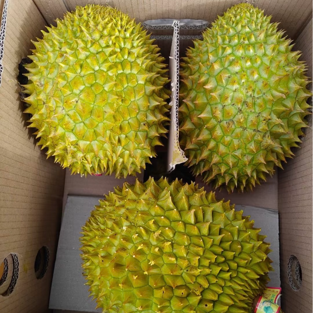 【618惊爆补贴】（整箱一物一拍）顺丰包邮树熟新鲜榴莲带箱19-18斤整箱微核大送上门干尧越南社会主义共和国