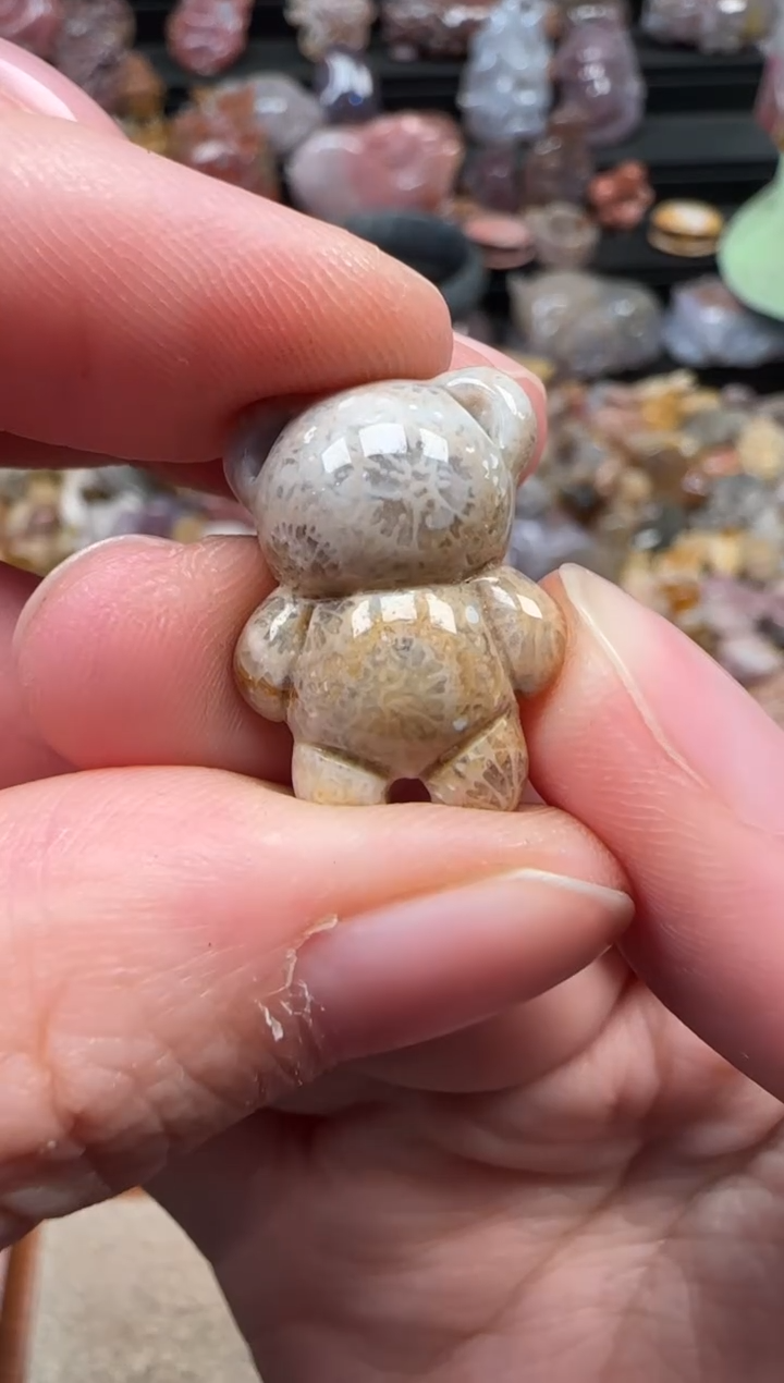 颈饰未镶嵌硅化珊瑚（珊瑚玉）308