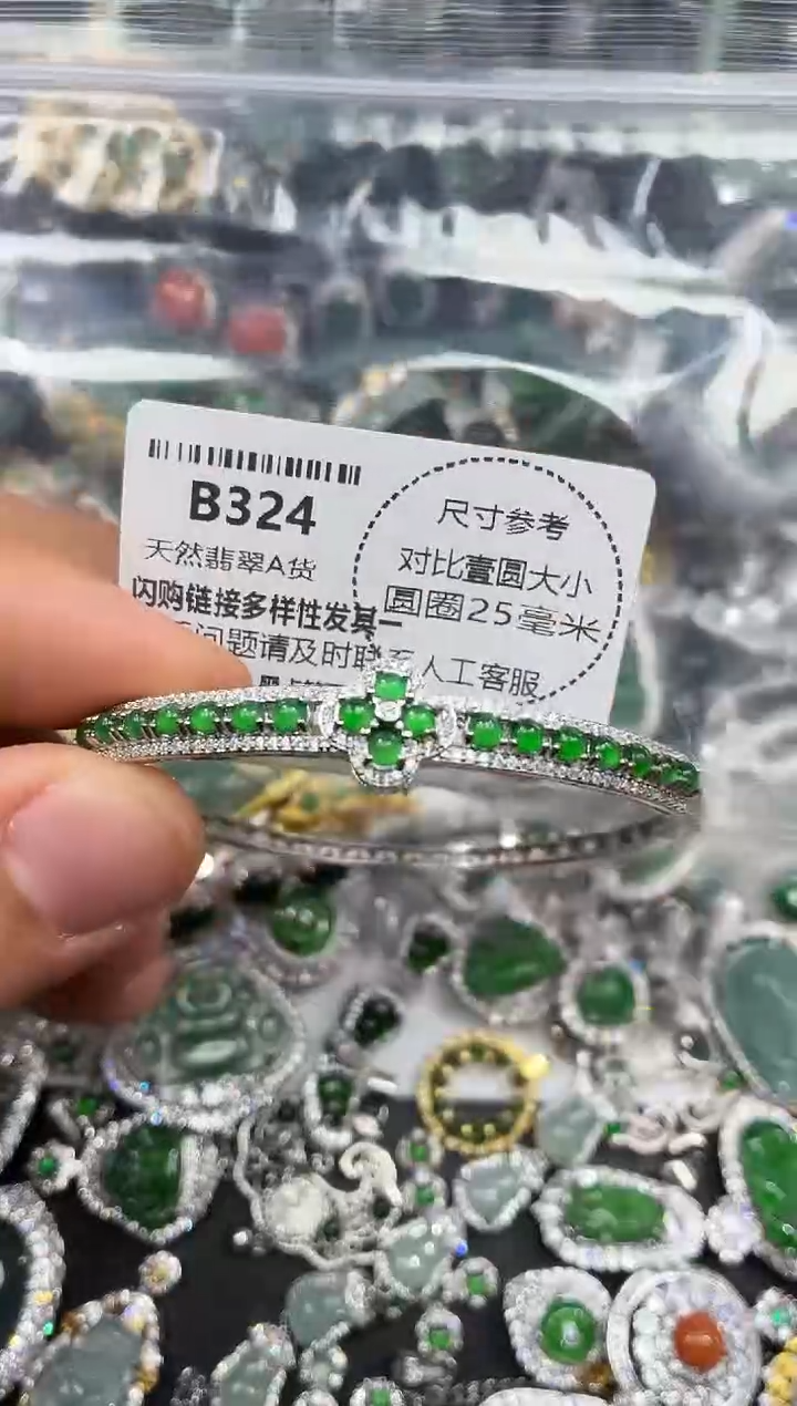 颈饰未镶嵌翡翠B324手镯