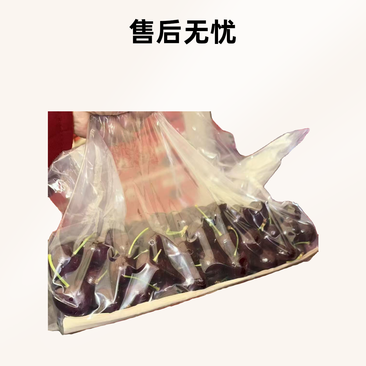 桑提娜JDD车厘子，2.5KG一盒。海运桑提娜智利