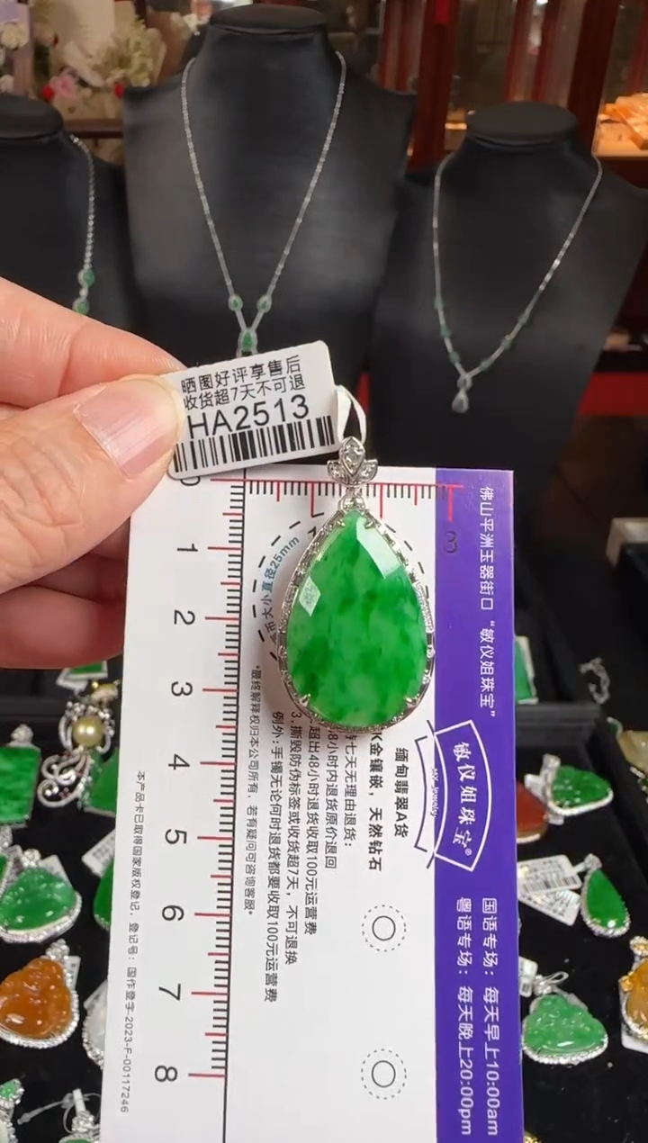 颈饰18K金镶嵌翡翠HA2513冰绿滴水