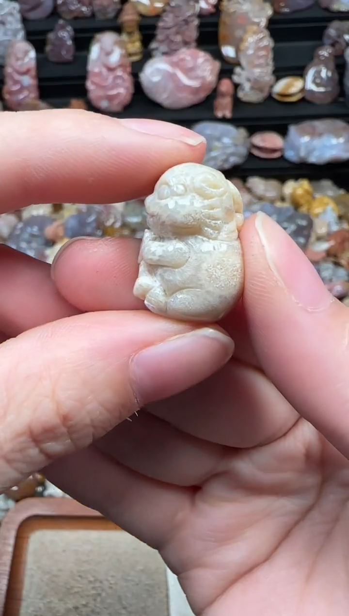 颈饰未镶嵌硅化珊瑚（珊瑚玉）098