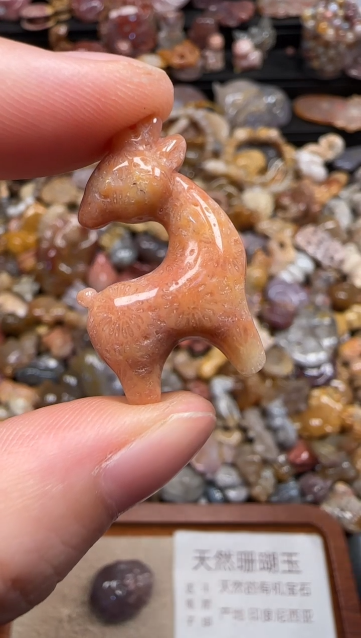 硅化珊瑚（珊瑚玉）未镶嵌颈饰594