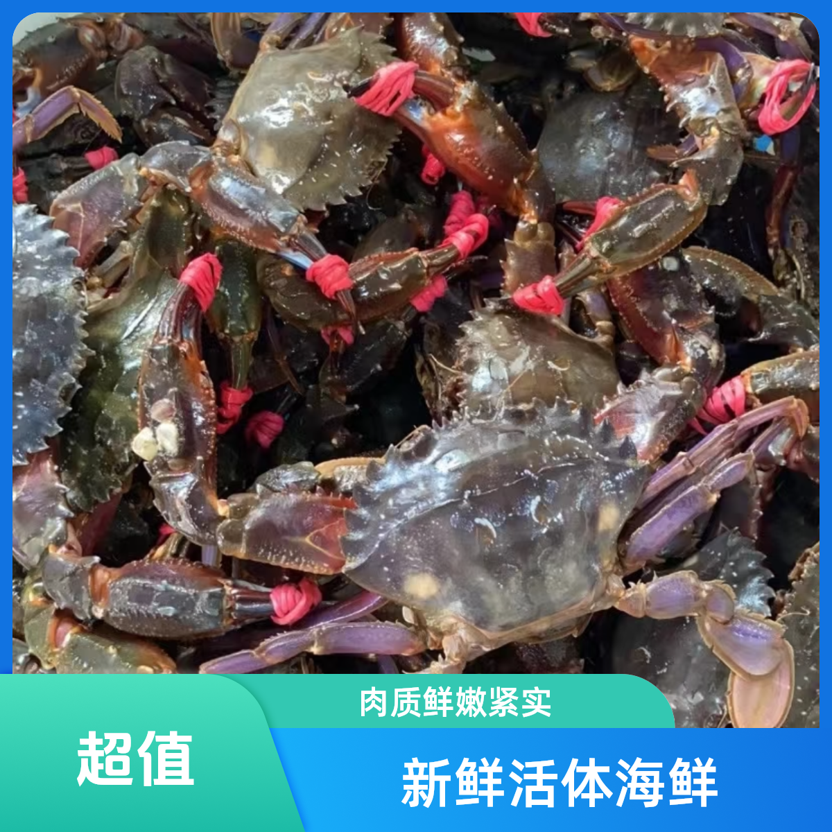 赤甲红2斤/3斤 规格3两左右/只【保鲜不保活】