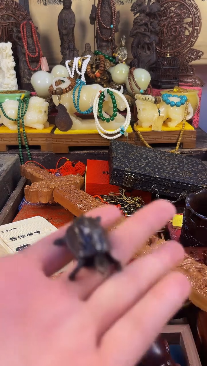 烽熠仓直播精选推荐