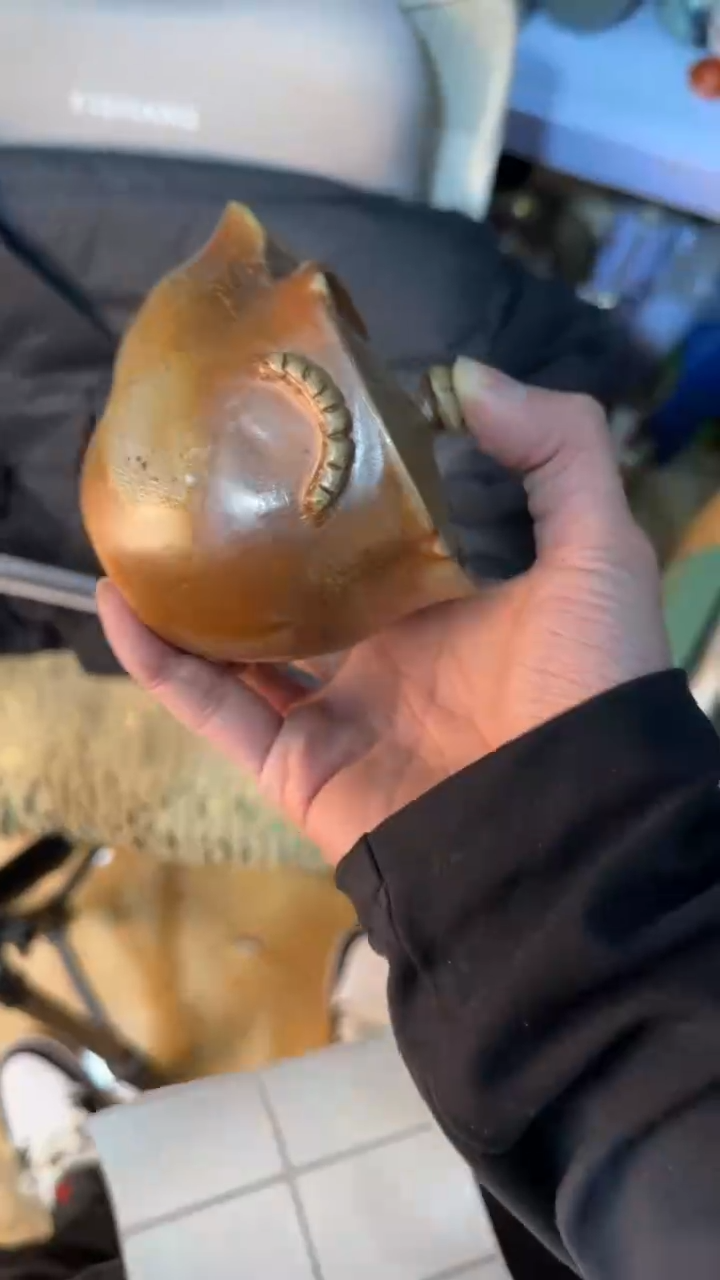 【闪购商品】茶盏88888888  504