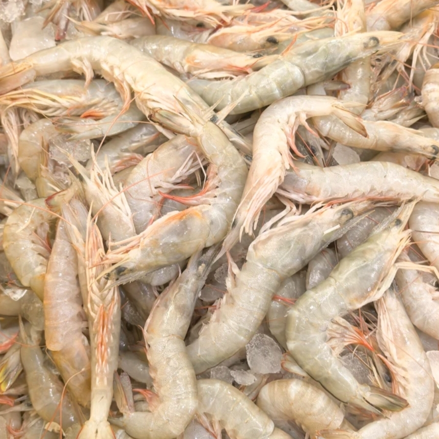 野生沙卢虾鲜甜可口厦门发货顺丰新鲜到家500g/盒大虾海鲜
