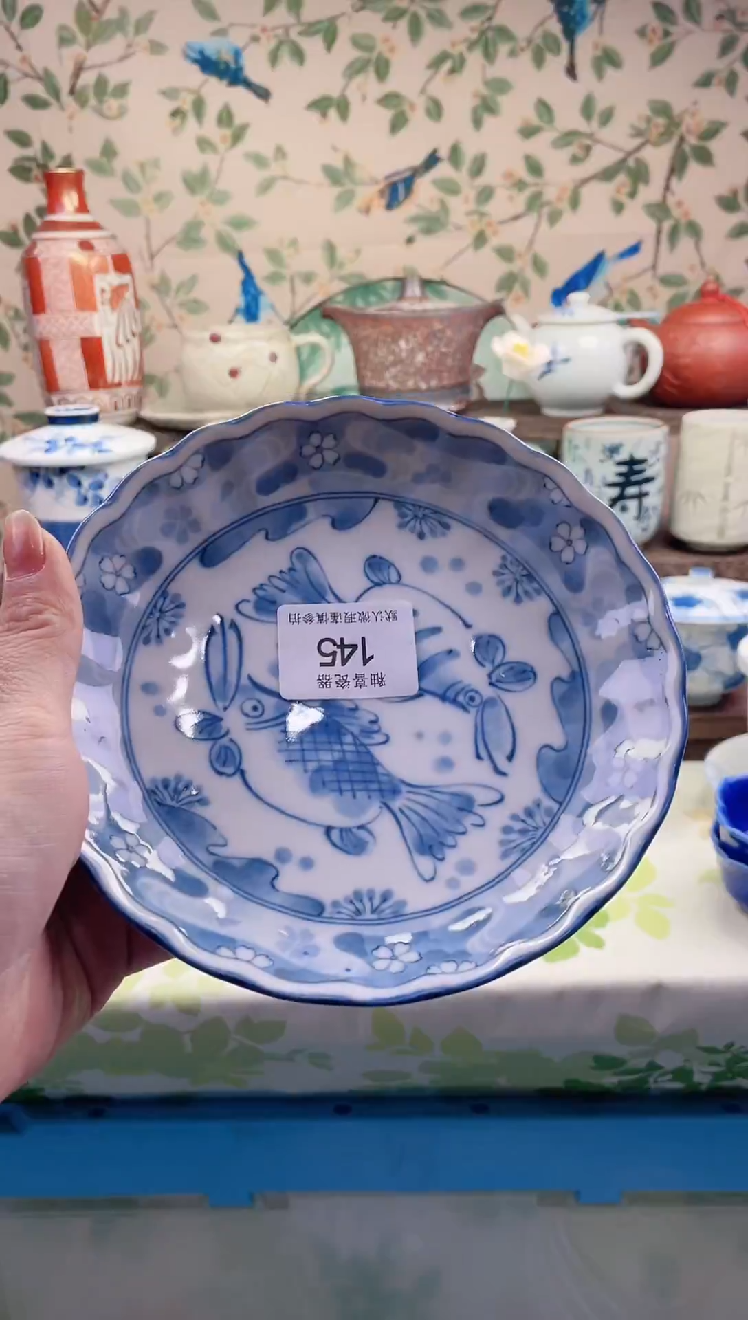 瓷片抱***猫瓷片瓷片145