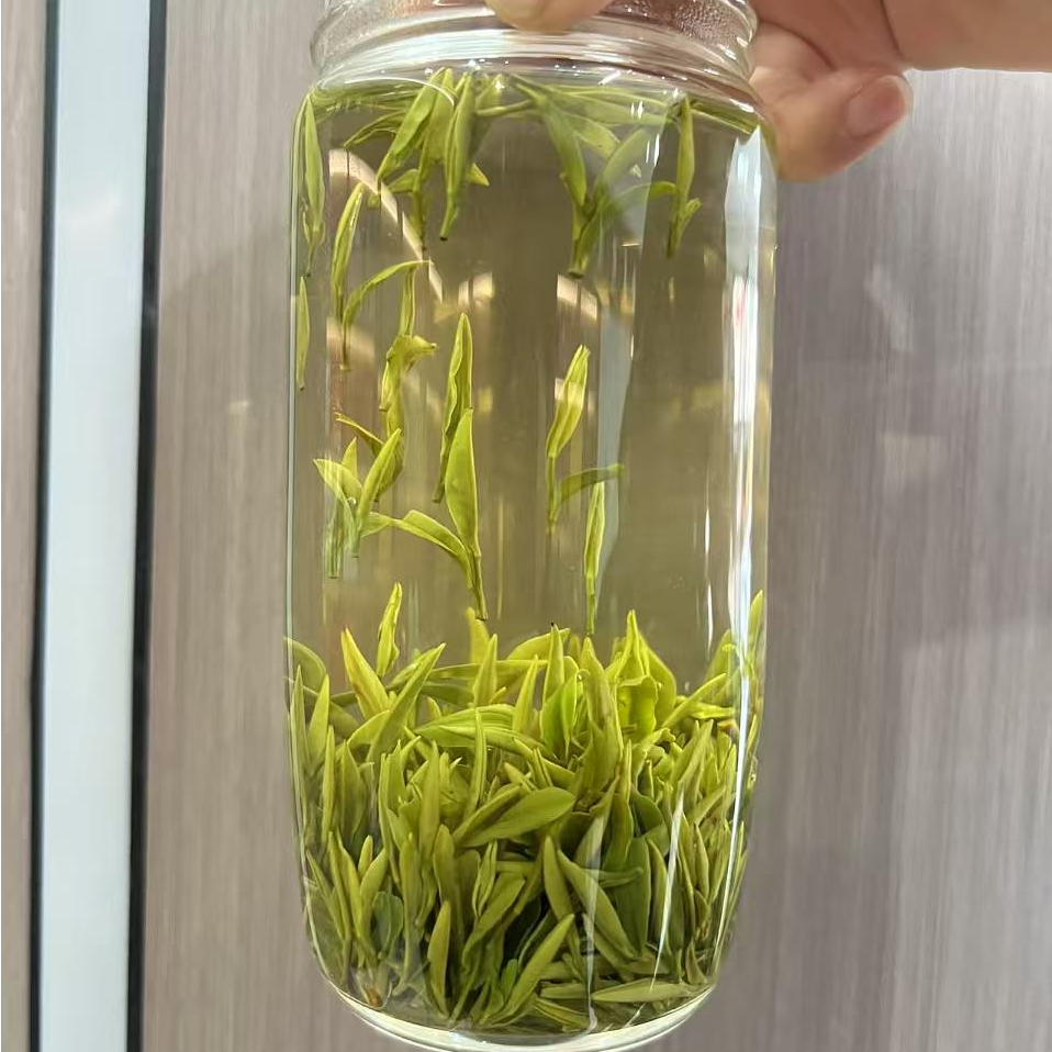 【2025年新茶】岳西高山翠兰398新鲜绿茶春茶明前茶