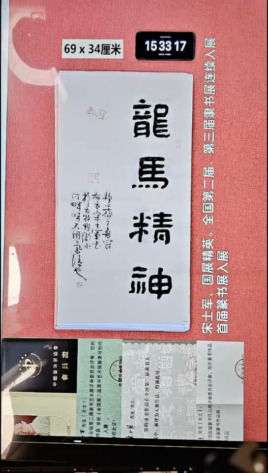 书法336    宋老师书法作品