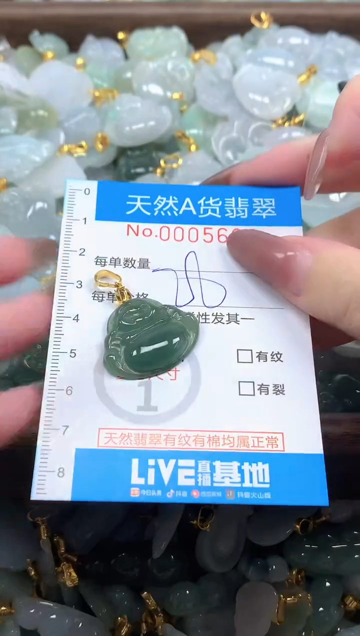 颈饰未镶嵌翡翠净货挂件-5690