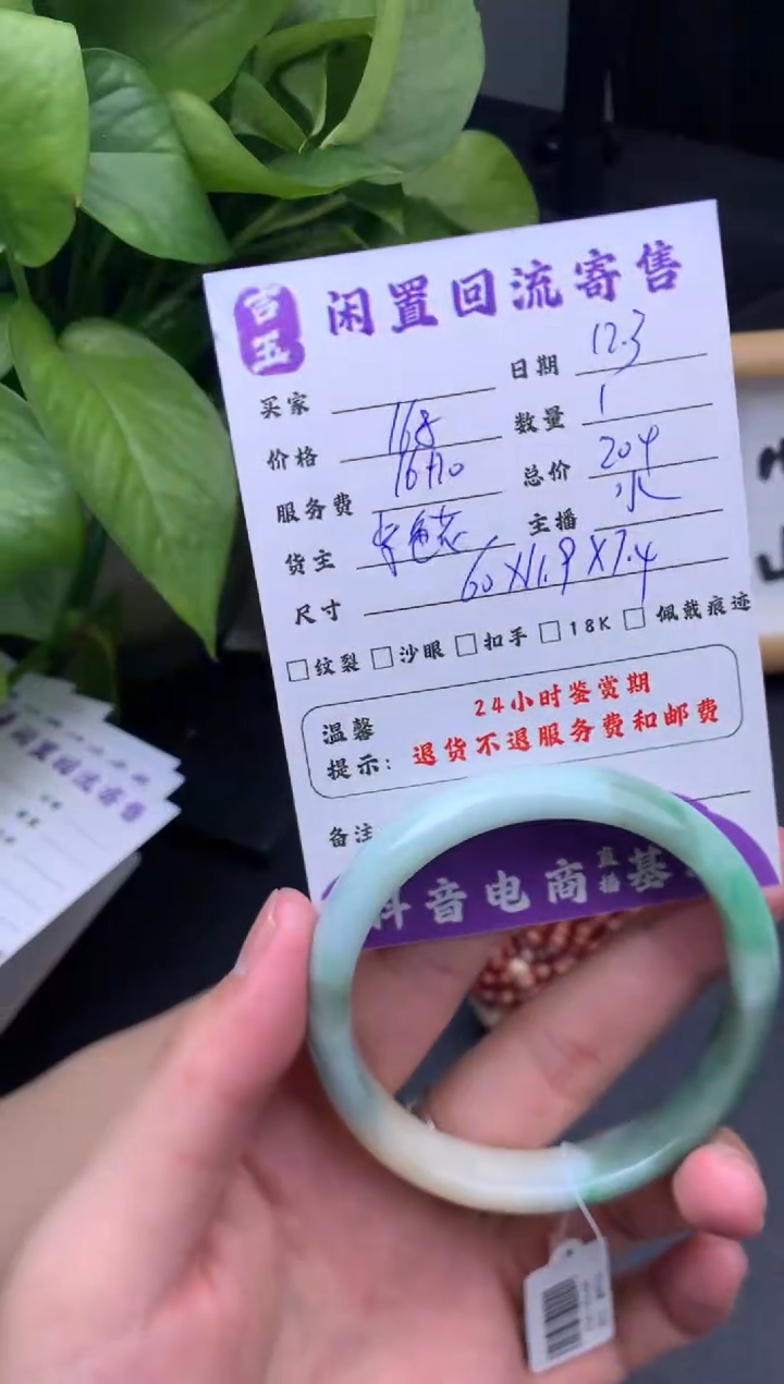 未镶嵌手镯翡翠手镯